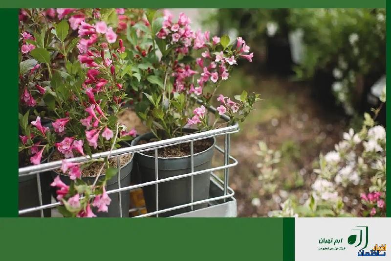 برای طراحی و اجرای فضای سبز چه مجموعه ای خوب است؟ برای طراحی و اجرای فضای سبز چه مجموعه ای خوب است؟