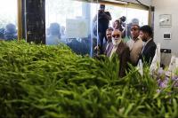  پایش میدانی ساختمان های ناایمن شهر تهران 